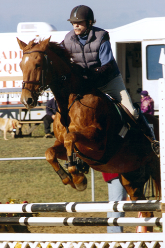 Sloan in Jumper courseat Amberlea Meadows